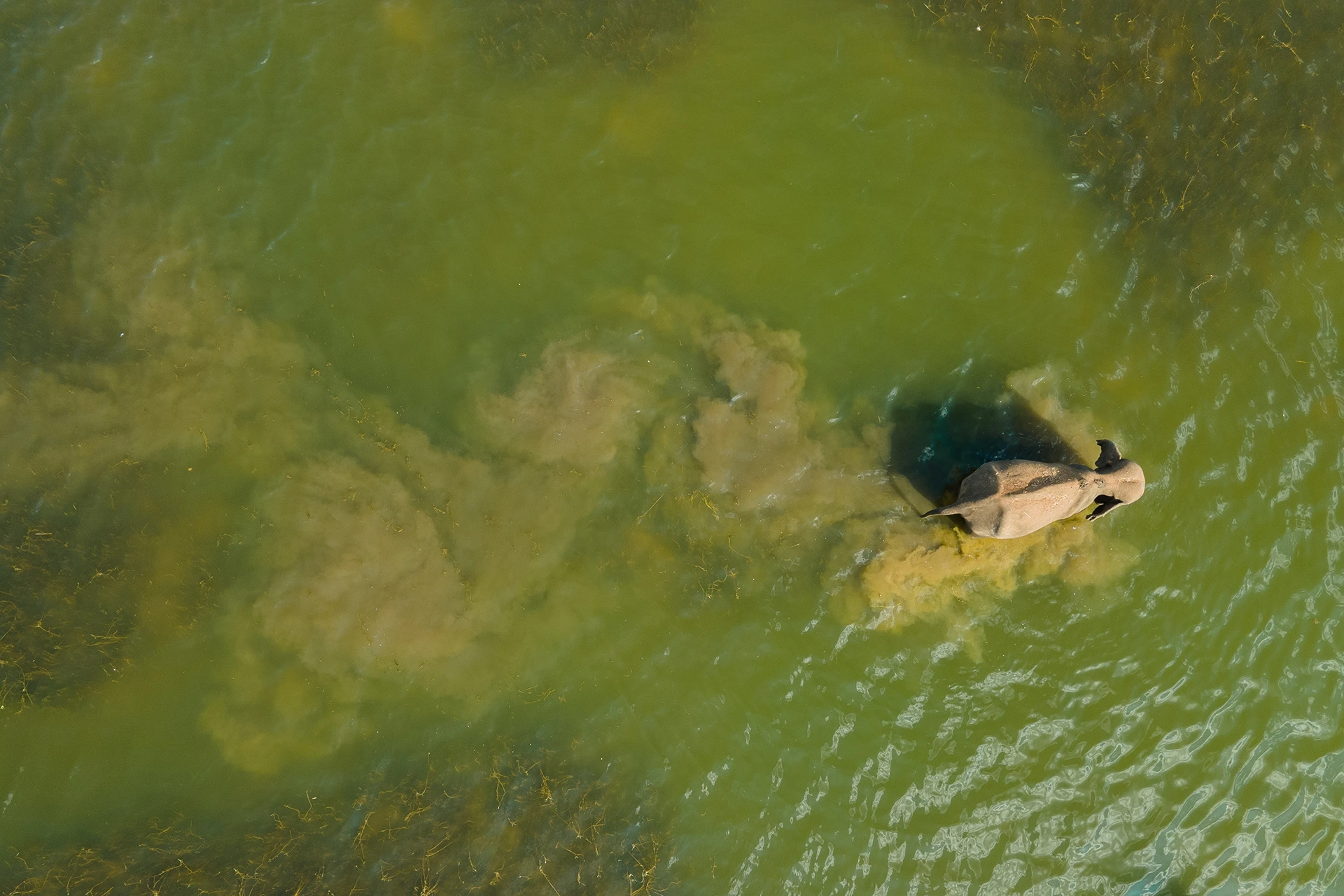 Gal Oya National Park Guided Elephant Boat Safari photo 3
